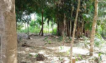 Imagem 3: VENDO CHÁCARA 6 ALQUEIRES ITABERAÍ/GO