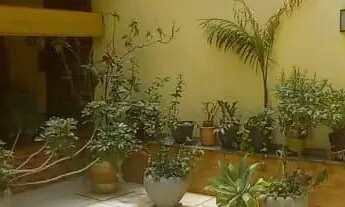 Imagem 6: Apartamento 4 quartos - Alto dos Passos