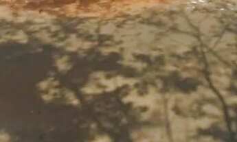 Imagem: Lote para venda com 360m² no Setor Orientville