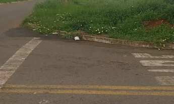 Imagem: Area Comercial 1.500,00m² (Rodovia dos