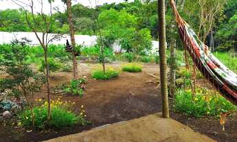 Imagem 7: Chácara em Itatiaiuçu