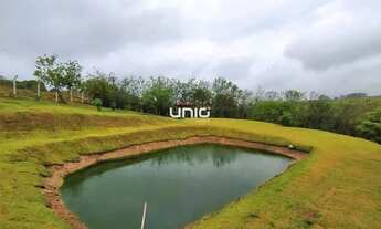 Imagem 3: Chácara com 3 dormitórios à venda, 5100 m² por R$ 650.000,00 - Loteamento Primaveras - São