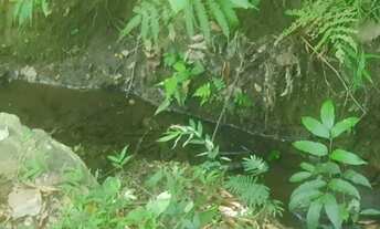 Imagem 3: Chácara Chácara com venda por R$95.000