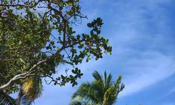 Imagem 3: Aluguel para temporada