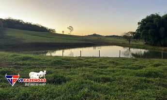 Imagem 7: FAZENDINHA 6 ALQUEIRES MUNICÍPIO DE ARAÇU-GO