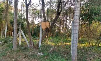 Imagem 3: Lote em Avenida Miguel Antônio Fernandes - Recreio dos Bandeirantes - Rio de Janeiro/RJ