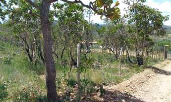 Imagem 3: Linda chácara de 1.000 metros na Cuia região de Baldim. WhTSApp * Guilherme