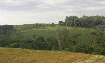 Imagem 3: Chácara Chácara com venda por R$100.000