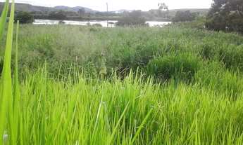 Imagem 5: Fazenda Fazenda / sítio com venda por R$1.000.000