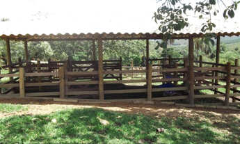 Imagem 7: Lindo terreno rural de 41 hectares na MG-10,Serra do Cipó (Temos varias opções