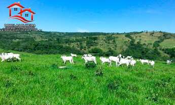 Imagem 6: Fazenda 319 Hectares Região De Nova Aurora -GO