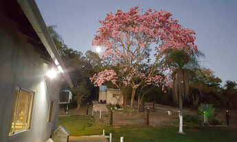 Imagem 4: Chacara Bonito MS