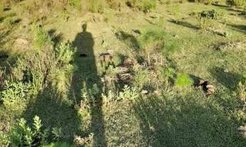 Imagem 5: Vendo Excelente área com otimo preço