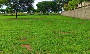 Imagem 4: LOTE DE 1250 m² NO PORTAL DO SOL GREEN RESERVA DA COROA