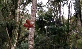 Imagem 3: LAPA - Fazenda - Mato Preto