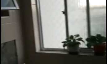 Imagem 6: Apartamento para venda com 47 m² com 2 quartos 1 vaga no RODEIO