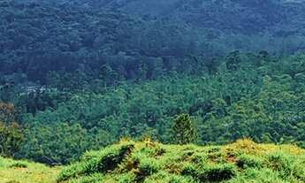 Imagem 7: 03m-Vendo Terreno em Mairiporã