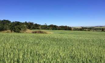 Imagem 4: ITAPETININGA - RURAL - ÁREA RURAL DE ITAPETININGA