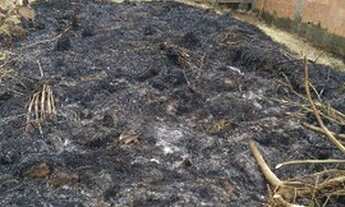 Imagem 5: Vendo terreno com casa a terminar