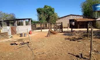 Imagem 4: Sítio Chácara com venda por R$1