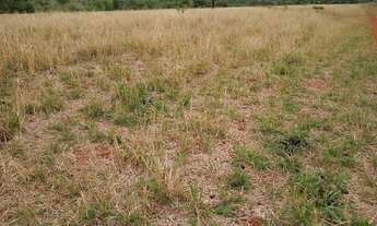 Imagem 4: ITARUMÃ - RURAL - Zona Rural