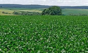 Imagem 2: Angatuba - RURAL - Zonal Rural