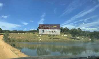 Imagem 4: OPORTUNIDADE ! FAZENDA 96 ALQUEIRES ! REGIÃO DE JARAGUÁ