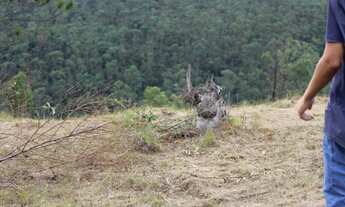 Imagem: Compre um terreno com pagamento facilitado