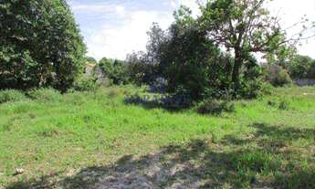 Imagem 4: Terreno em Itacimirim, Camaçari -R$ 1000.000,00- 3.750 m²