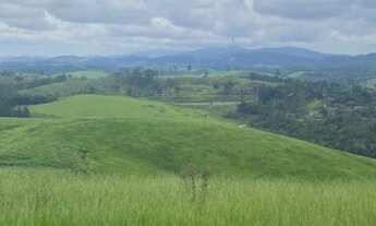 Imagem 7: 10.000m² de terra por apenas 150mil à vista