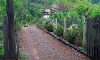 Imagem 6: Nih*CA263 Sítio c/terreno equivalente a 4 Hectares de terra. Farroupilha/RS