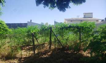 Imagem: Terreno no parque do lago em umuarama