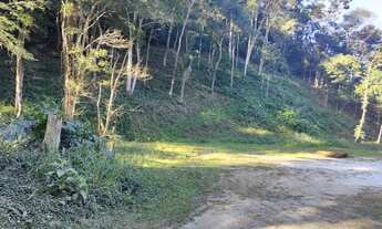 Imagem 5: Pedro do Rio (Vale do Barão) - Terreno com 7.800m². oportunidade!