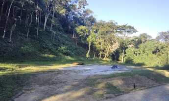 Imagem 7: Pedro do Rio (Vale do Barão) - Terreno com 7.800m². oportunidade!