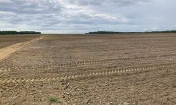 Imagem 7: Fazenda de Soja à venda em Gurupi - TO