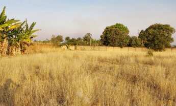Imagem 5: Terrenos no setor de chácaras planaltina