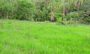 Imagem: Terrenos/Chácaras de 20.000m² em São