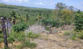 Imagem 4: Terreno 3 tarefas