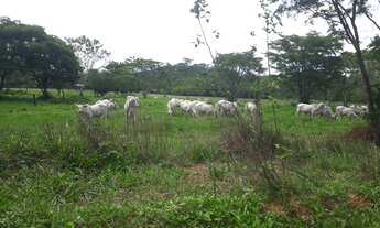 Imagem 7: FAZENDINHAS EM ARAÇAÍ perto da MG238