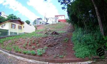 Imagem 7: Dois Irmãos - Terreno Padrão - Centro