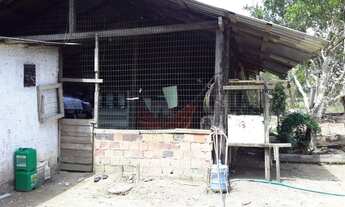 Imagem 4: SITIO COM 11 ALQUEIRES