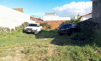 Imagem 3: Terreno bosque das colinas