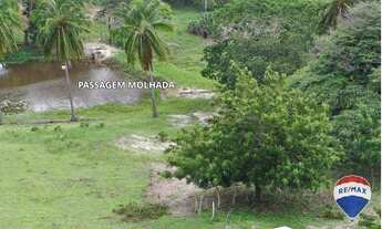 Imagem 6: Fazenda com 3 dormitórios à venda, 415000 m² por R$ 1.300.000,00 - Taíba - São Gonçalo do