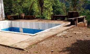 Imagem 7: Nih*CA263 Sítio c/terreno equivalente a 4 Hectares de terra. Farroupilha/RS