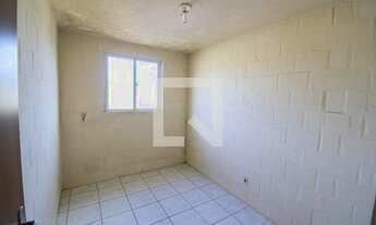 Imagem 6: Apartamento para Aluguel - Campo Novo, 2 Quartos, 39 m2