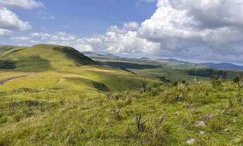 Imagem 4: TERRENO CAMPO DOS PADRES - ÁREA 51