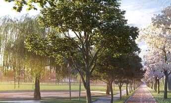 Imagem 7: Lote Condomínio Fechado Parqville Quaresmeira - Trindade