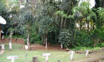 Imagem 5: Dois Irmãos - Terreno Padrão - Moinho Velho