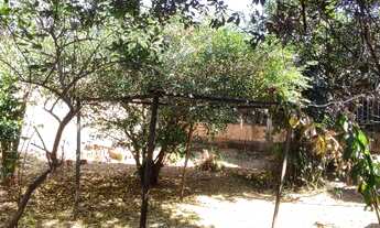 Imagem 5: Casa com 3 quartos - Parque Flamboyant - Goiânia - GO