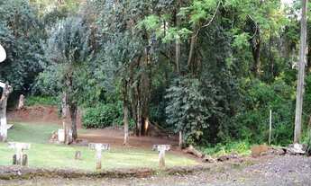 Imagem 3: Dois Irmãos - Terreno Padrão - Moinho Velho